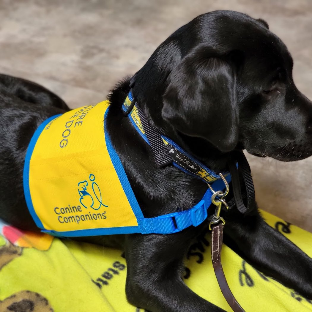 Canine Companions Headquarters and Northwest Training Center 2