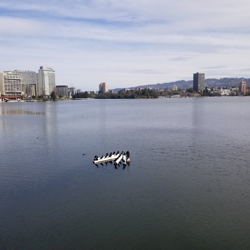 LakeFest Oakland 2