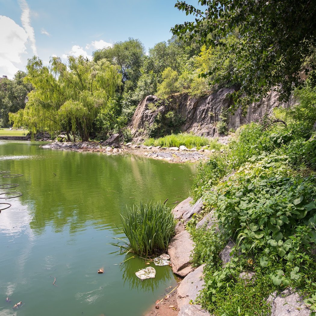 Friends of Morningside Park 1