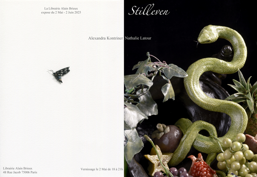 Exposition STILLEVEN 1