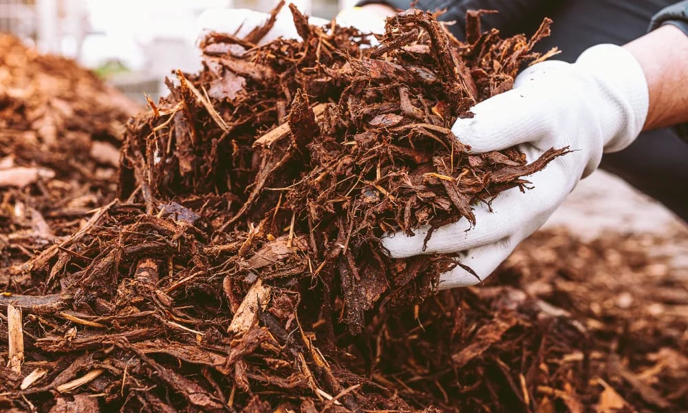 Free Compost for Irvine Residents