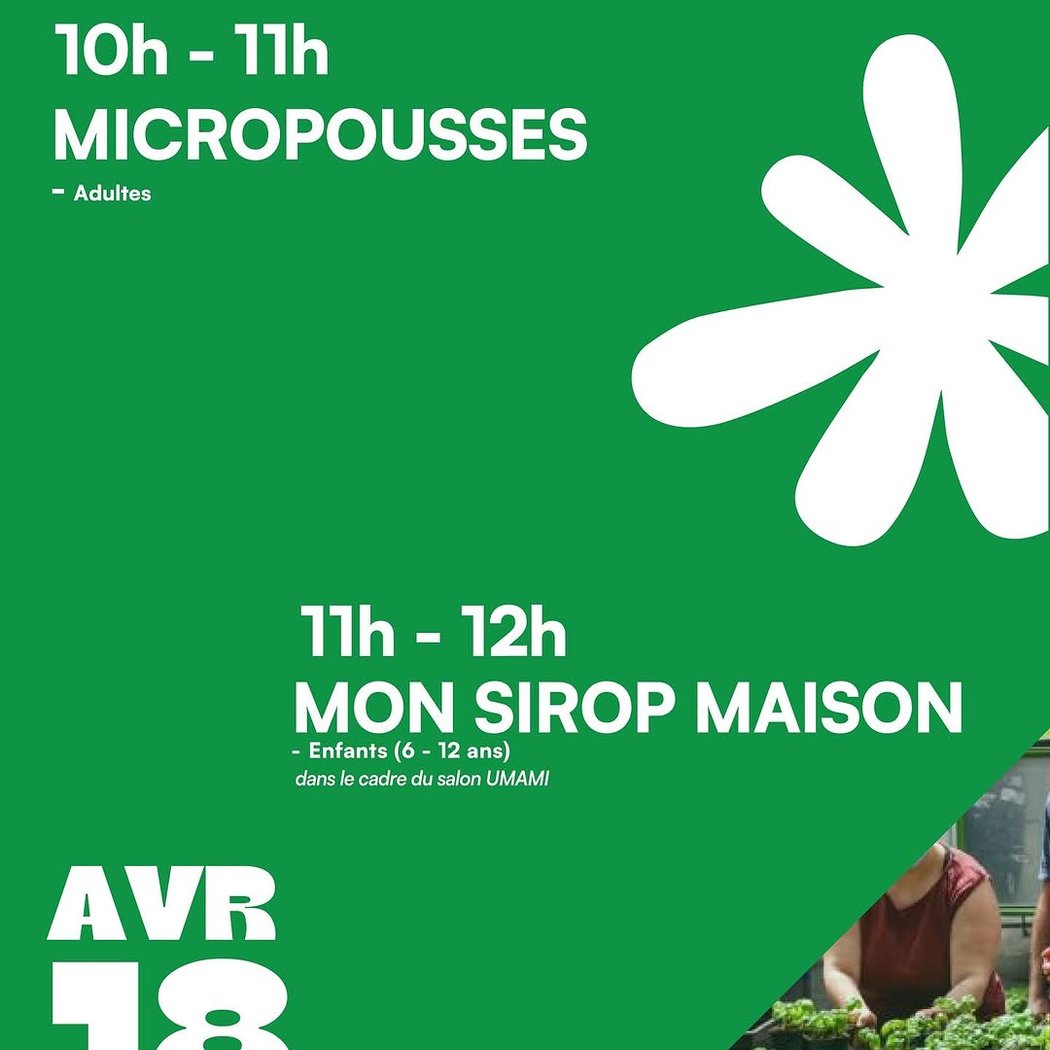 Ateliers MICROPOUSSES (Adultes) 1