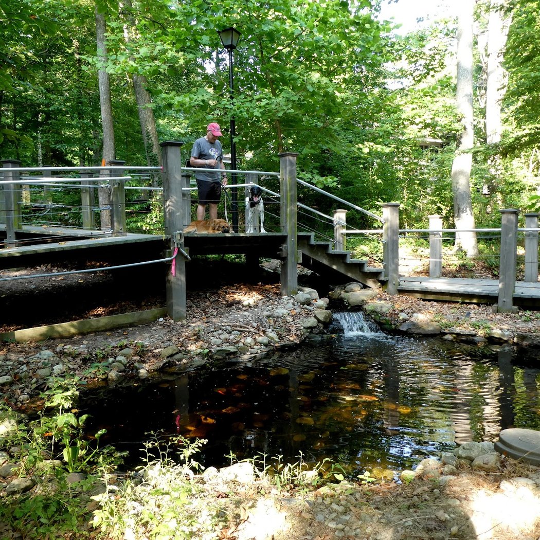 Family Discovery Hike 2