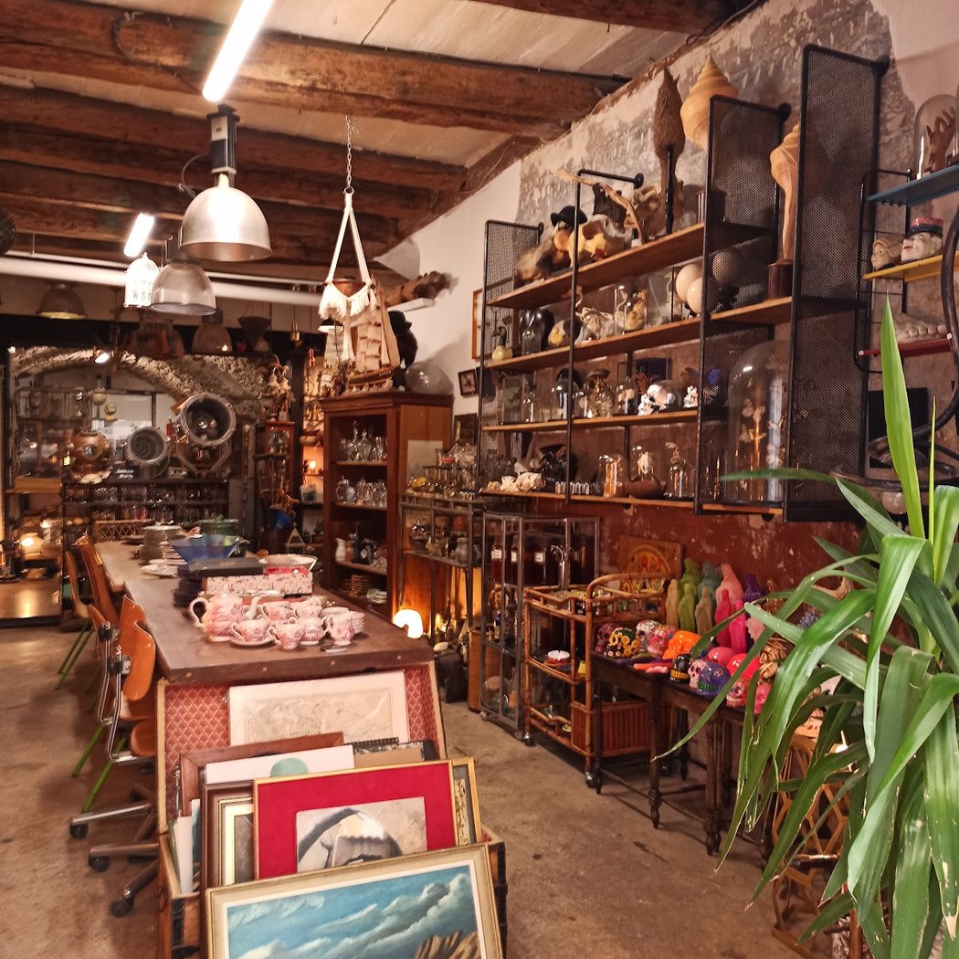Curios, Cabinet De Curiosités Et Brocante 3