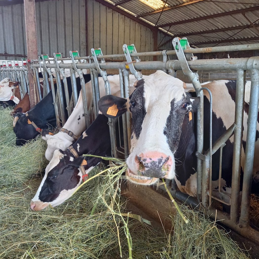 La Ferme de Moigny 2