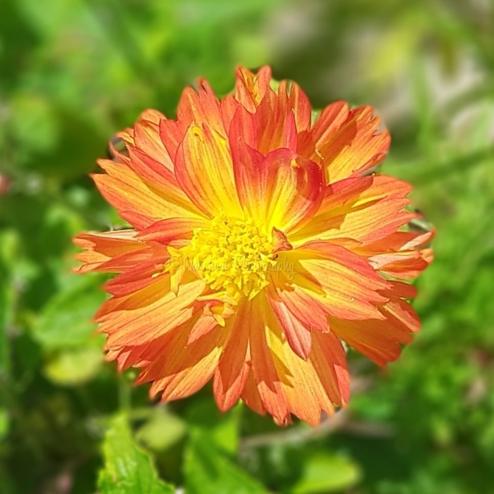 Peek Into Nature 2
