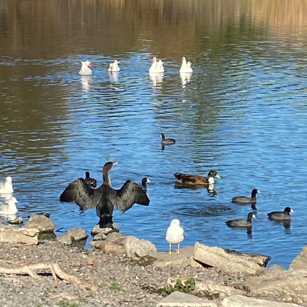 Roberts Lake 3