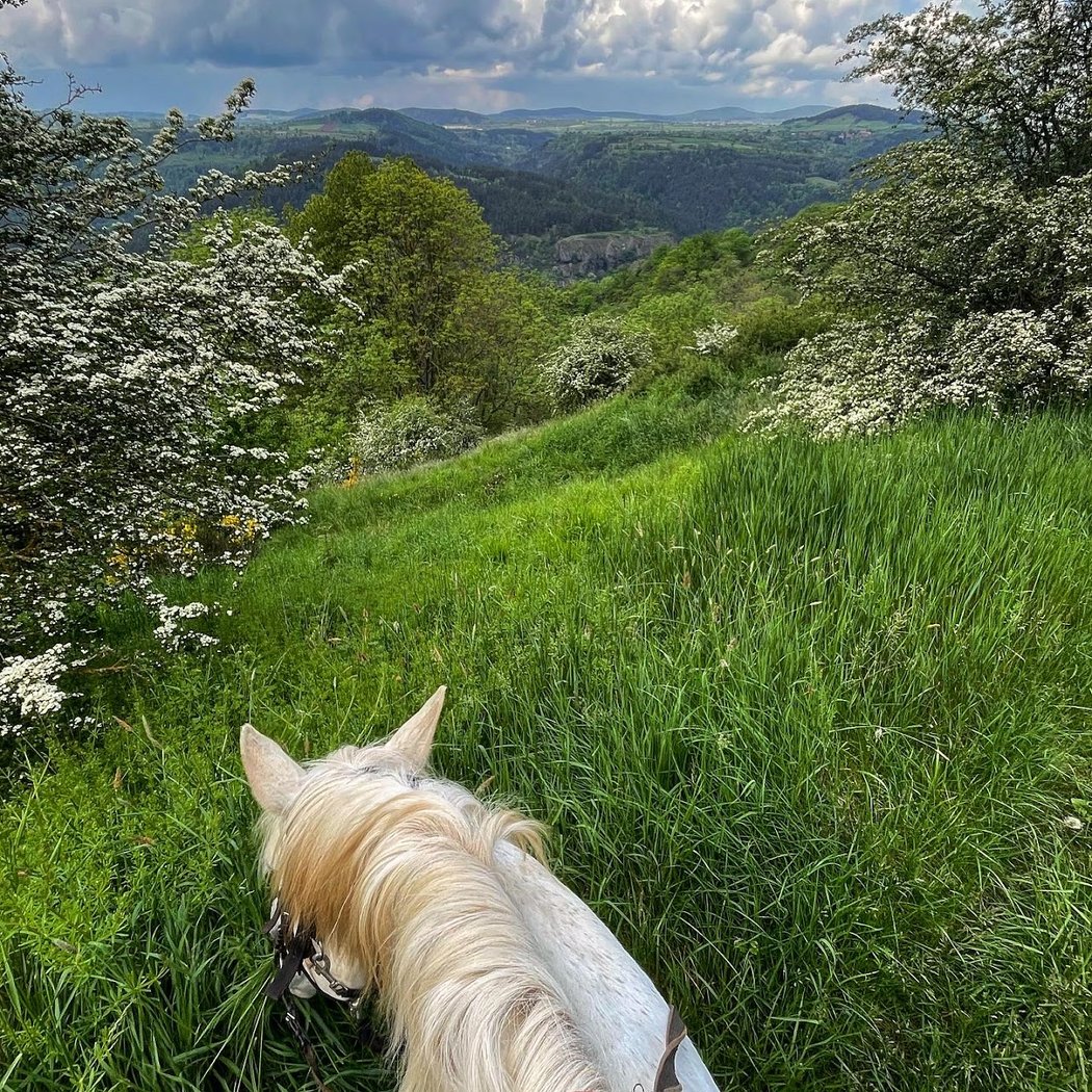 Les Ecuries de l'Aventure, ferme équestre. 1