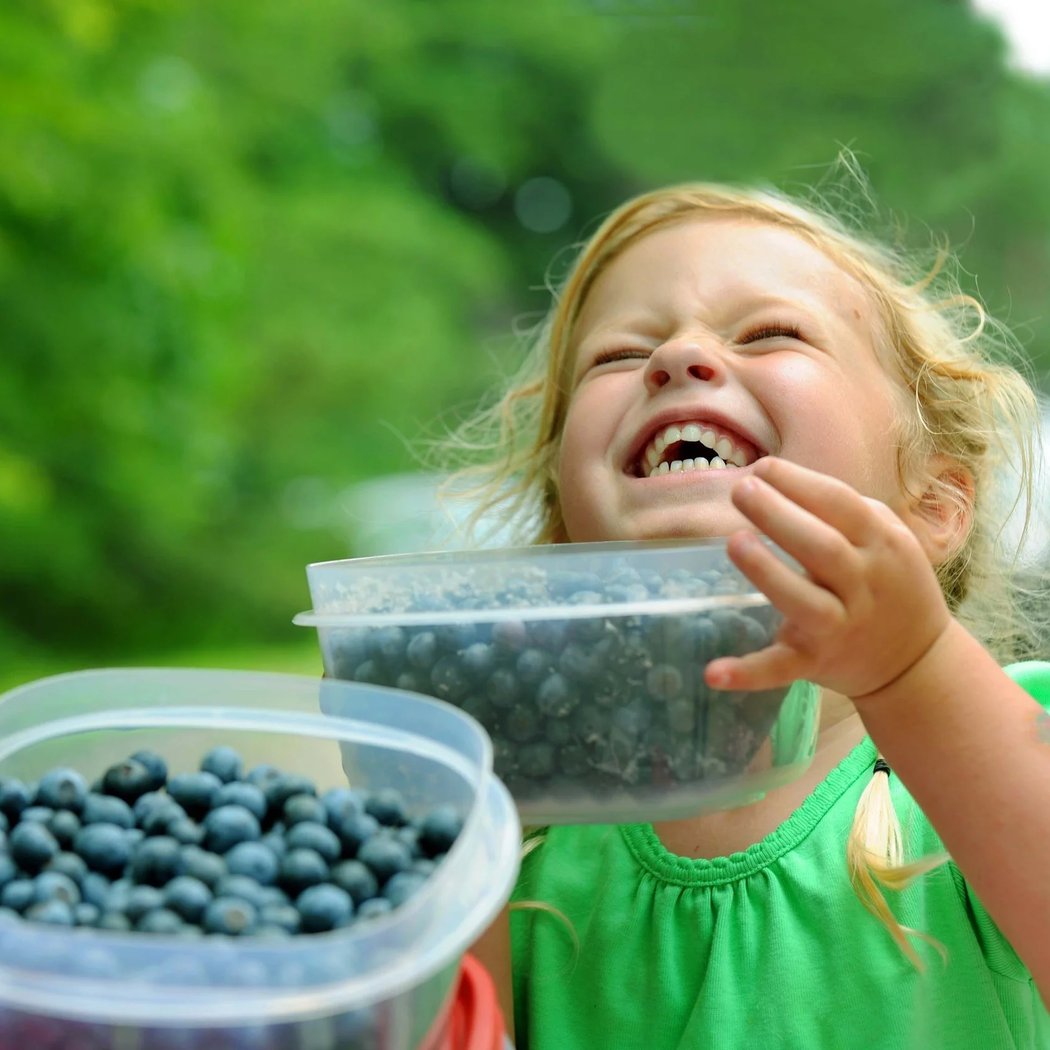11th Annual Blueberry Fest 3