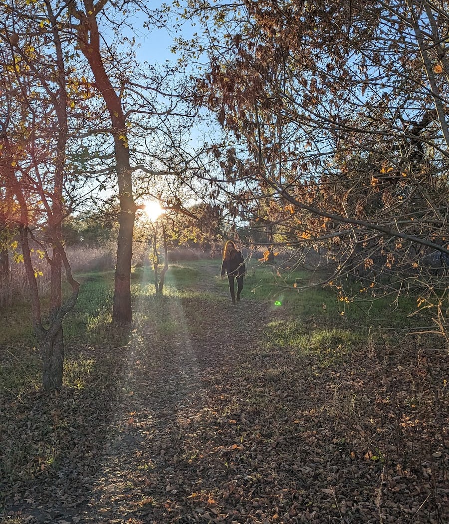 Laguna Uplands Preserve 1