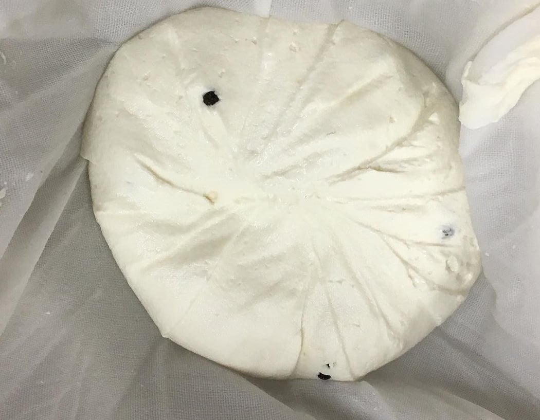 Hands on Cheese-making Class 2