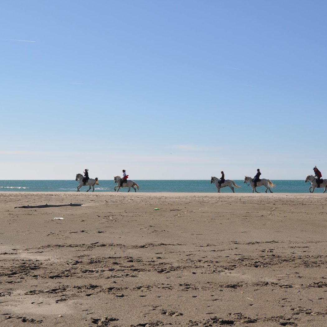Claire Equitation 1