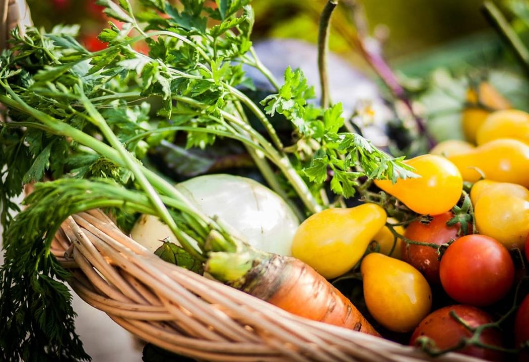 Circuits courts et résilience alimentaire 1