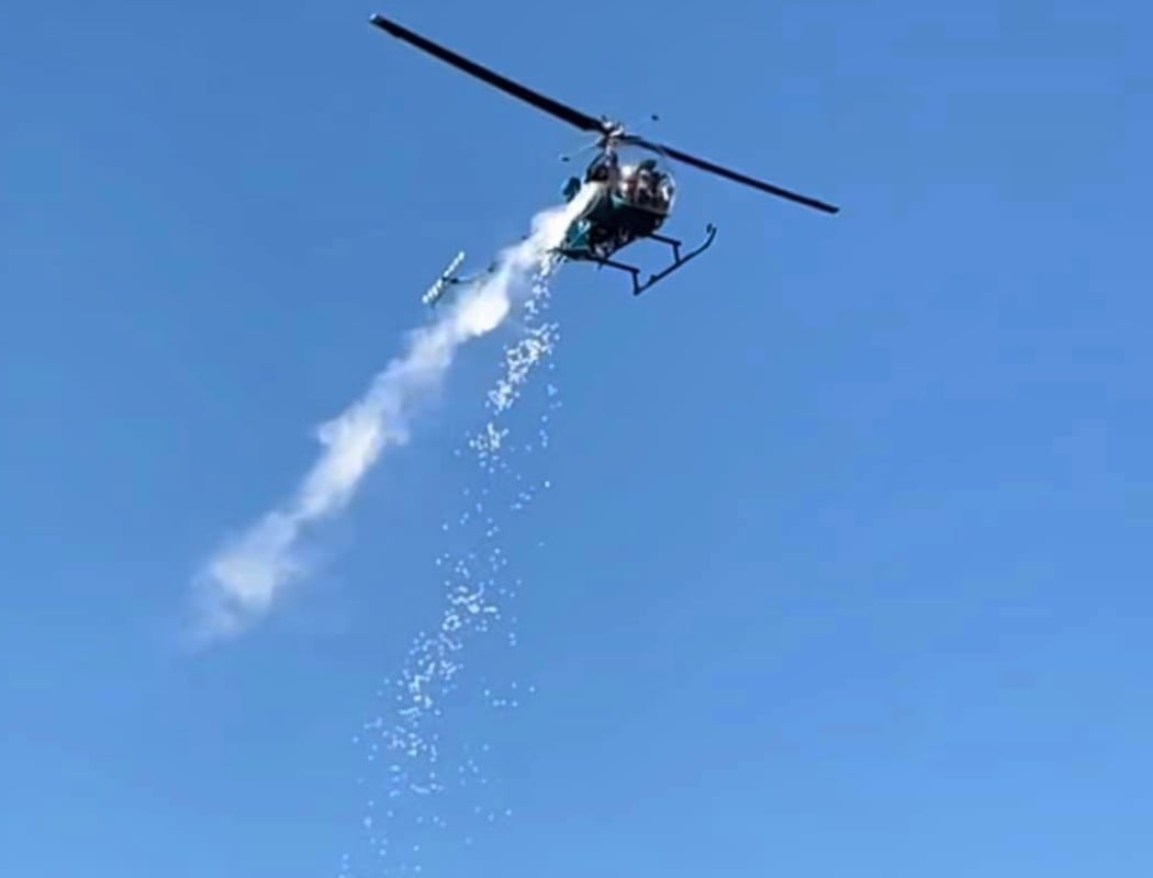 Nankin Mills Marshmallow Drop 2