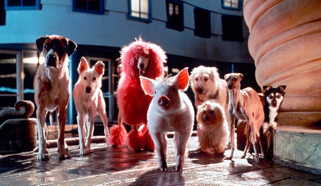 Babe, le cochon dans la ville 3