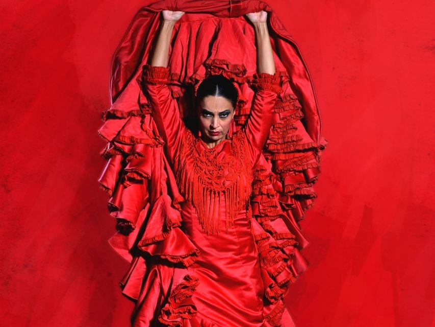 Espectáculo flamenco en vivo 1