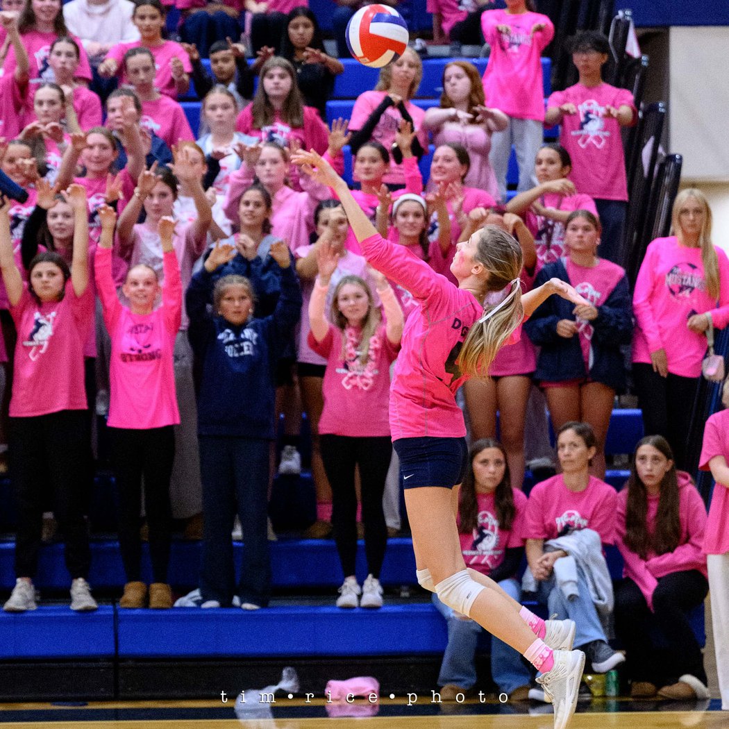 VB Dig Pink Night vs Devine 1