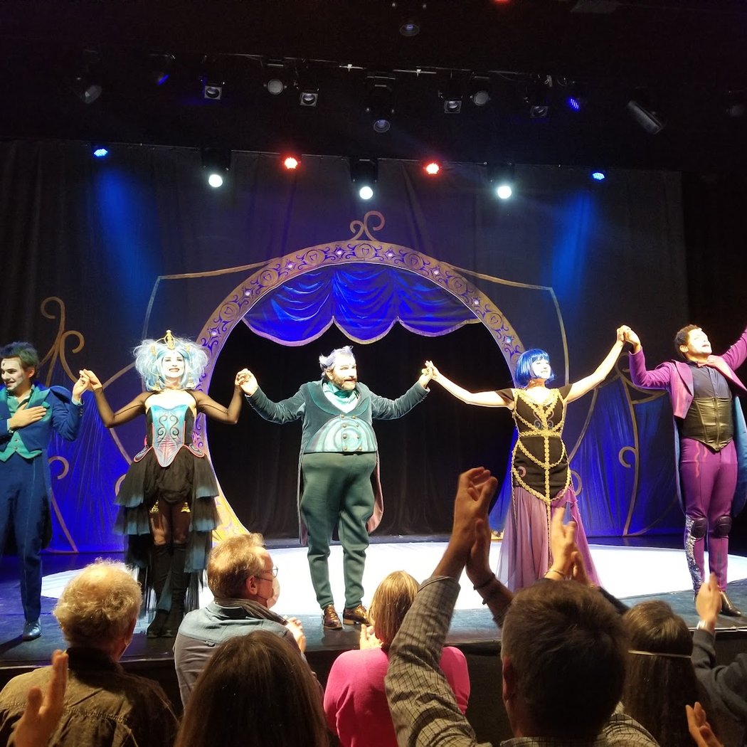 Peter Pan - spectacle musical 2