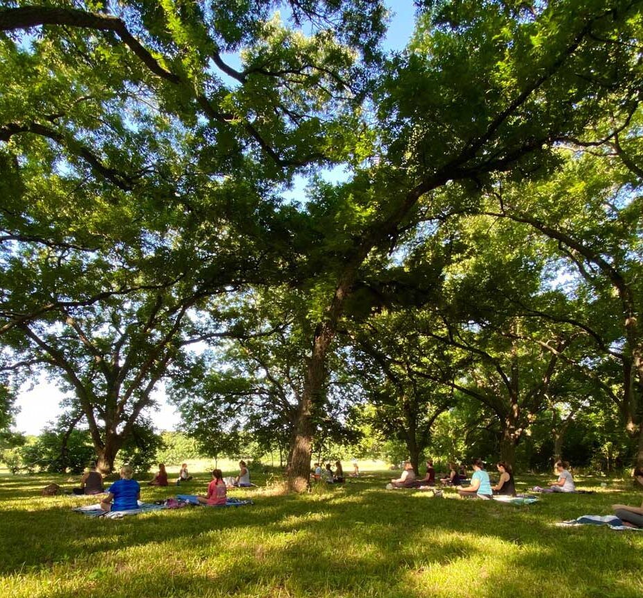Yoga in the Meadow 4