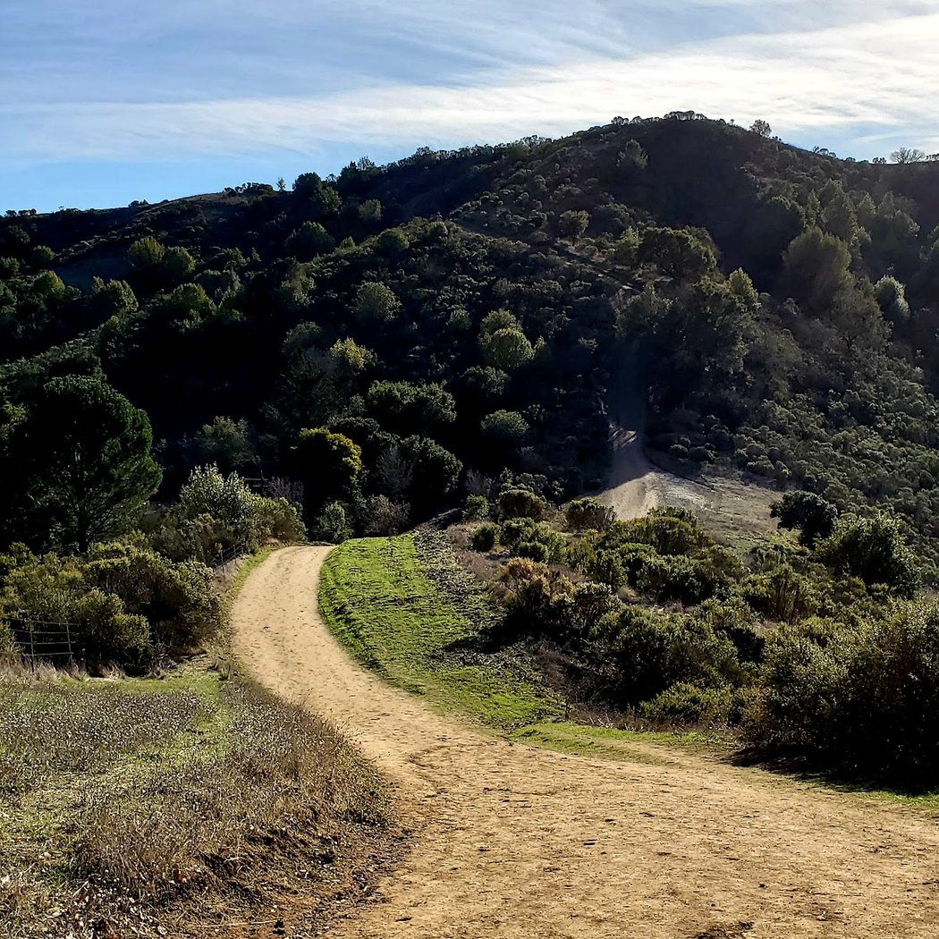 Rim Trail 1