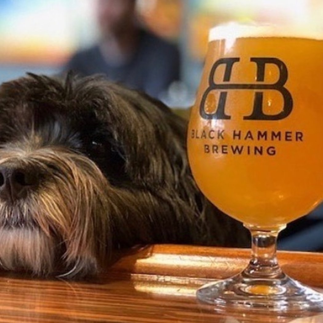 Hopped Up Trivia 1