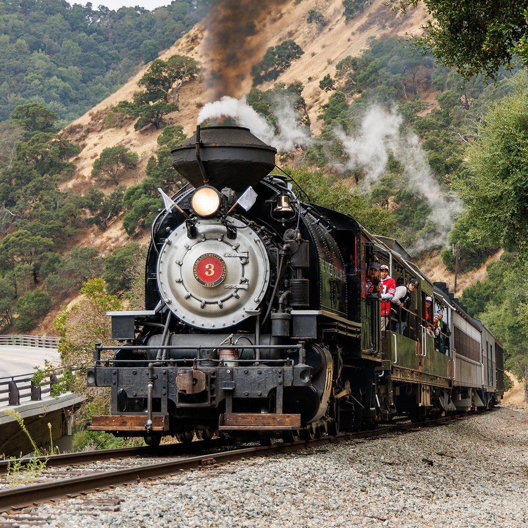 Steam Train 1
