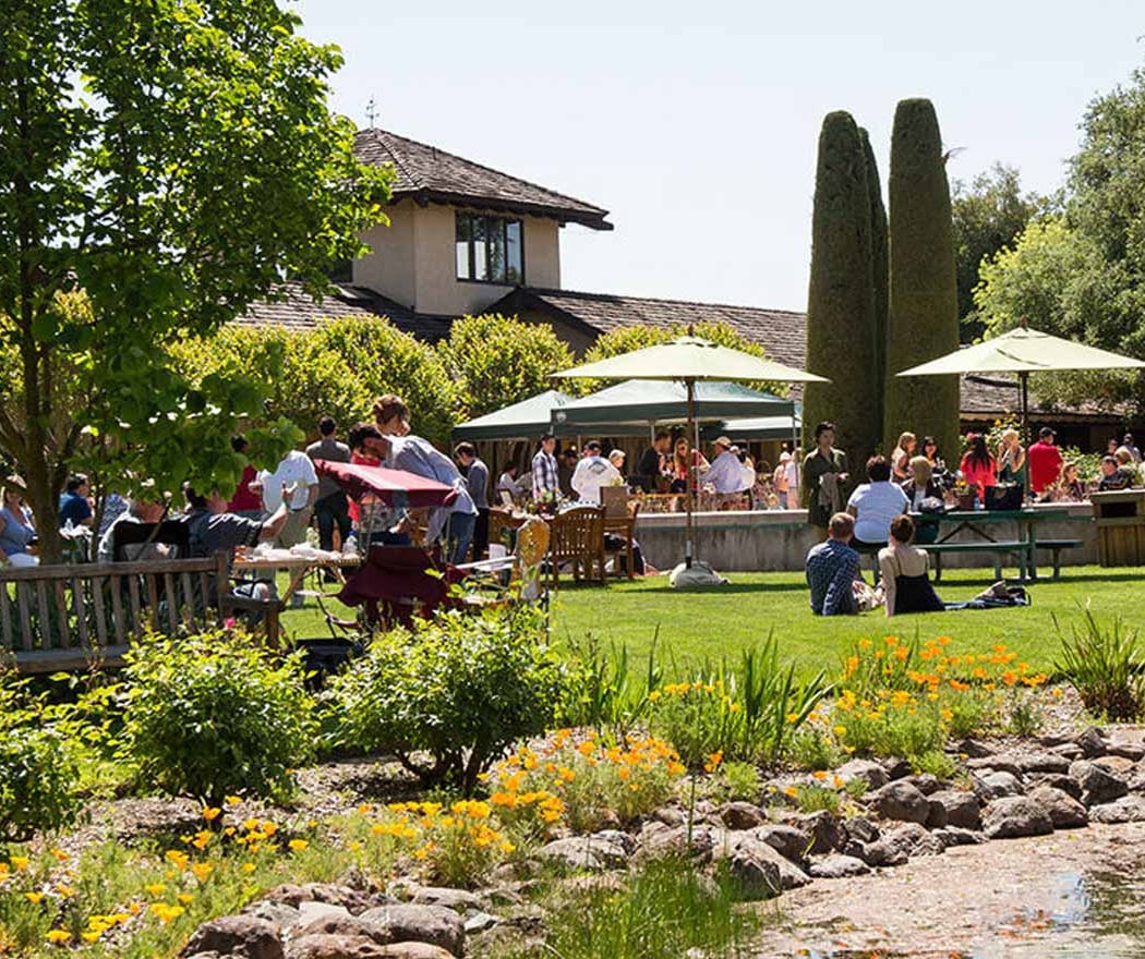 Landmark Vineyards 3