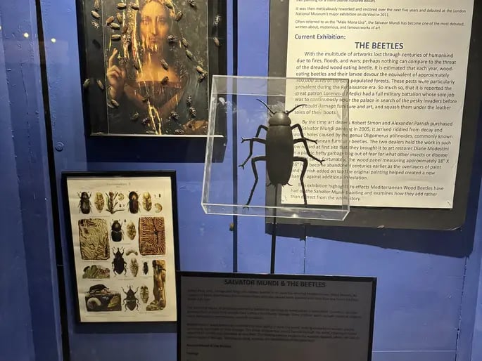 Salvator Mundi Museum of Art 2