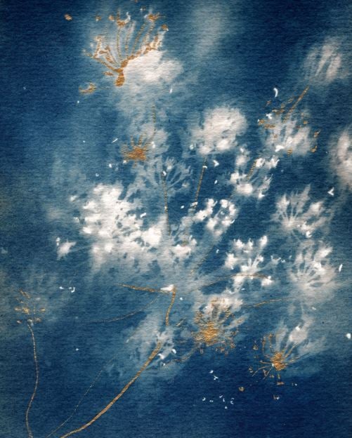 Ateliers Cyanotype avec Catherine & Amélie 1