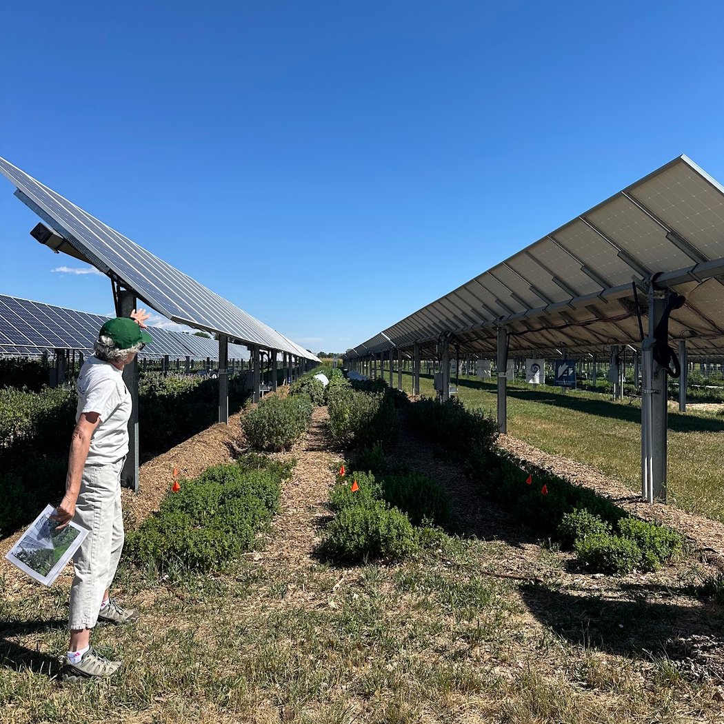Jack's Solar Garden 1