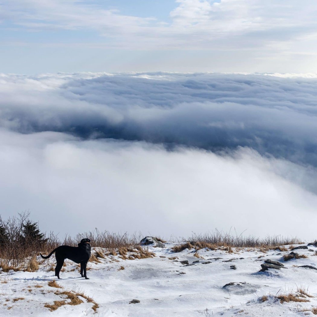 Mount Greylock 1