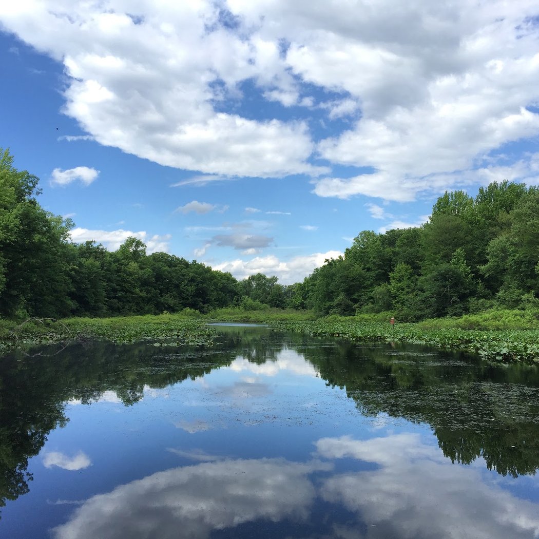 Tenafly Nature Center 2