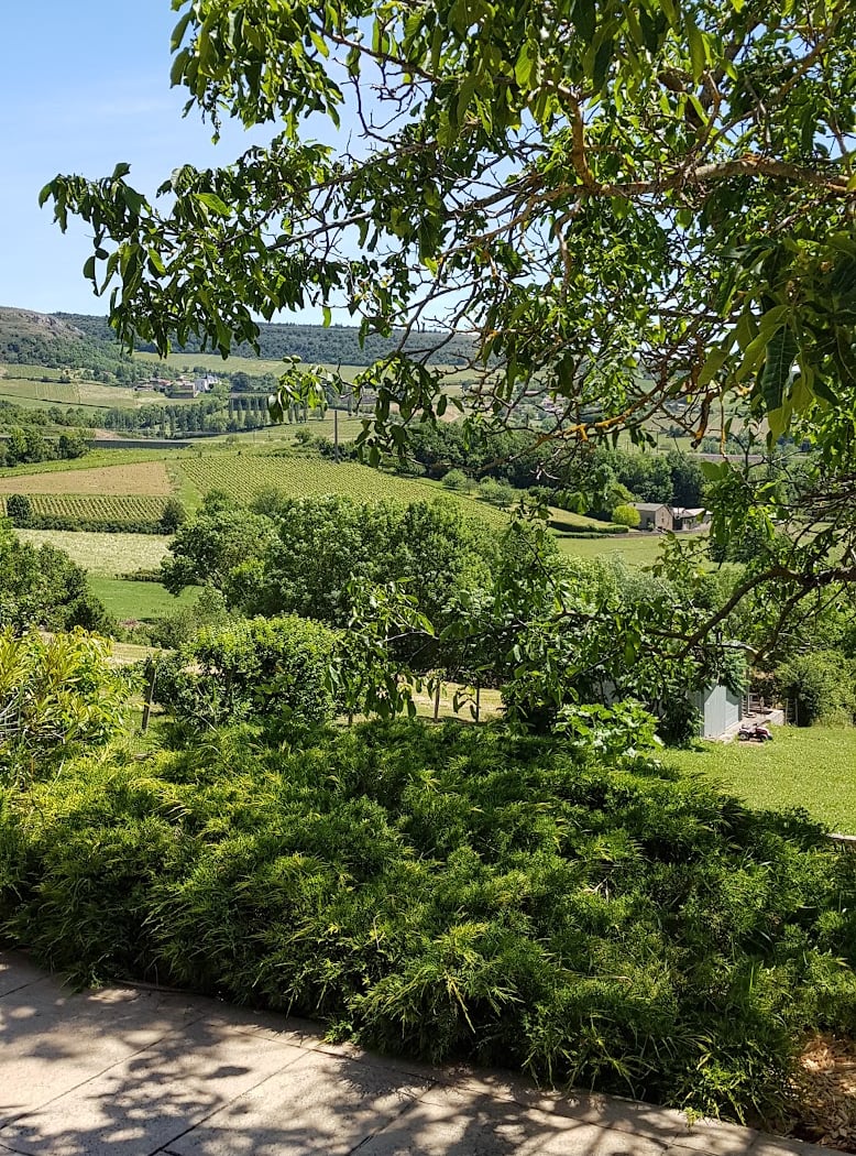 Domaine Nicolas Delfaud 2