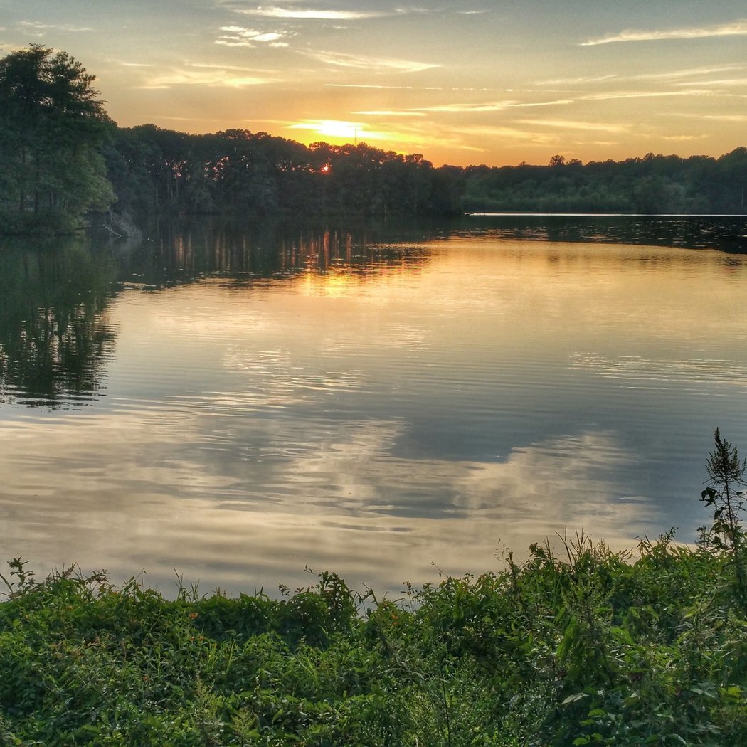 Killens Pond State Park 2