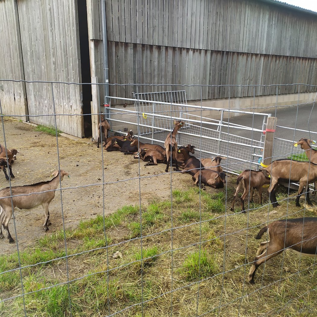 Ferme De La Tremblaye 4
