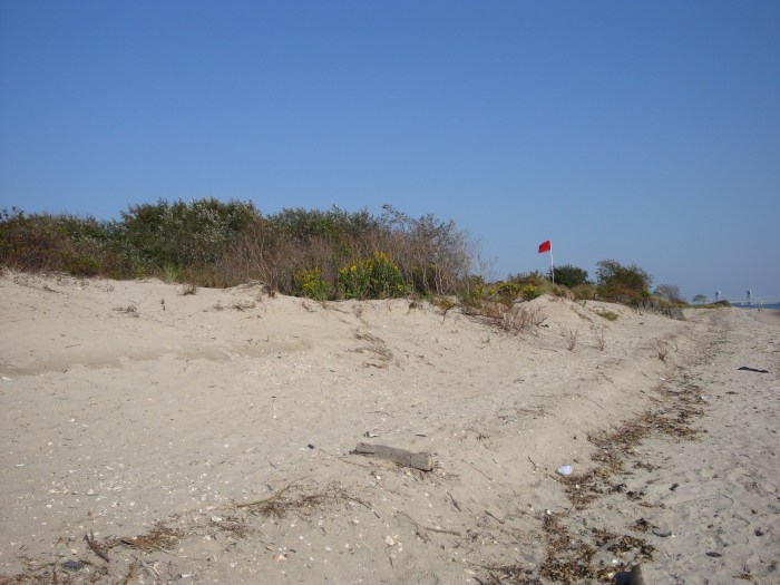 Plumb Beach (Gateway National Recreation Area) 2