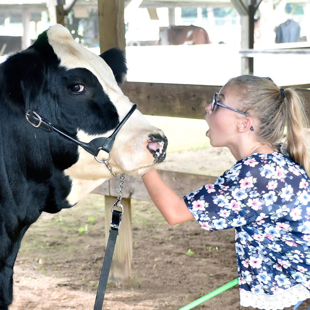 The 98th Annual Westfield Fair (Sunday Session) 3