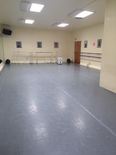 Summer Teen Ballet Intensive week 2 for ages 11+ 3