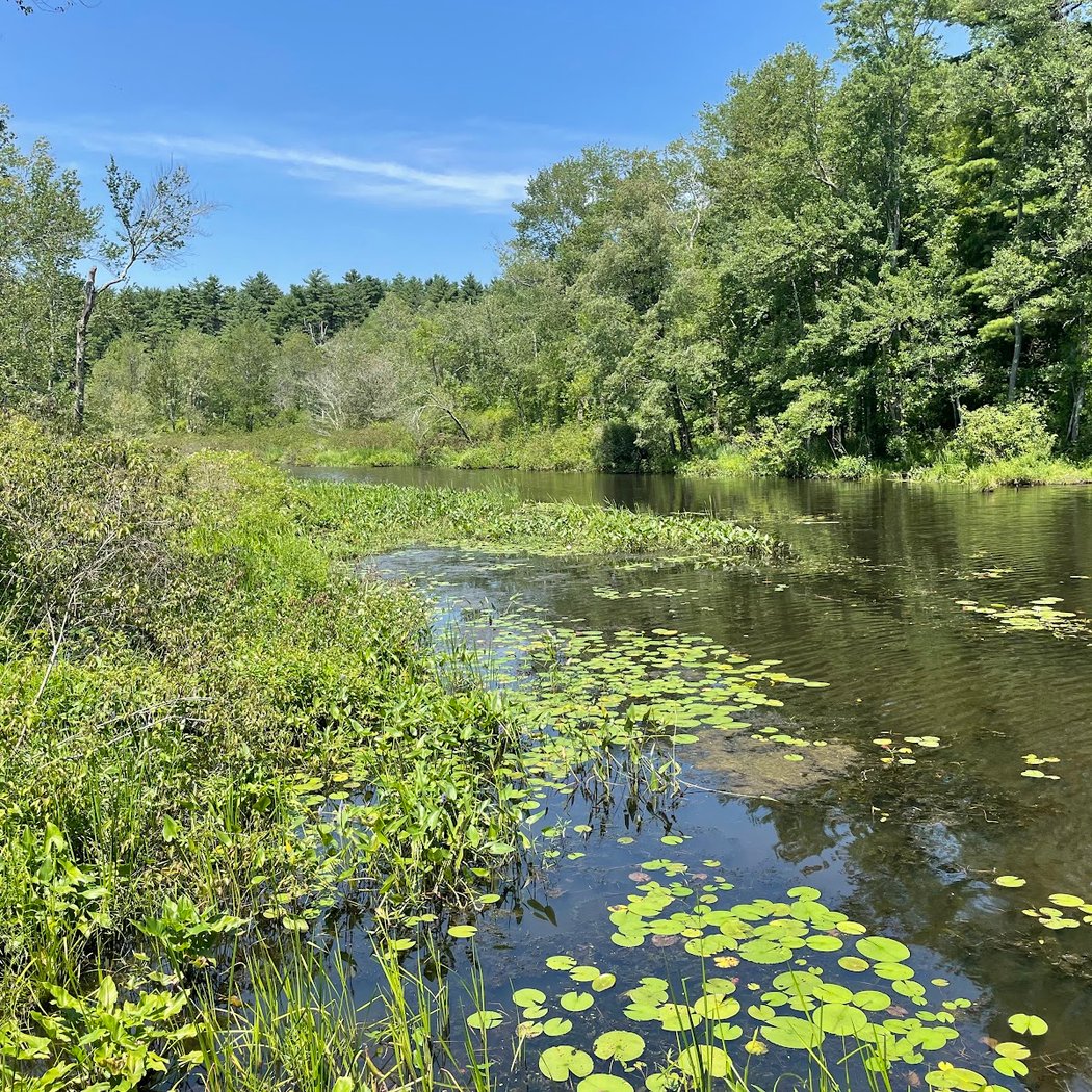White Memorial Conservation Center 3