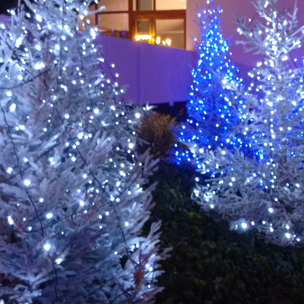 Marché fermier de Noël 3
