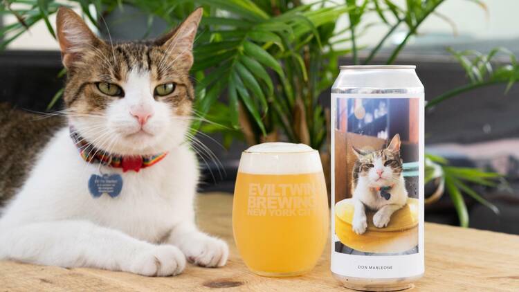 Evil Twin Brewing NYC 1