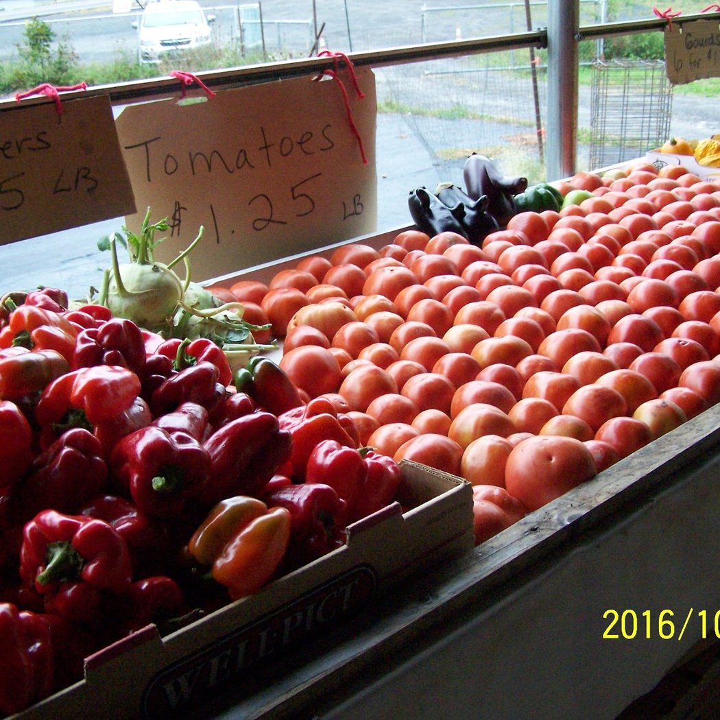 Buzzanco's Greenhouses & Farm 2