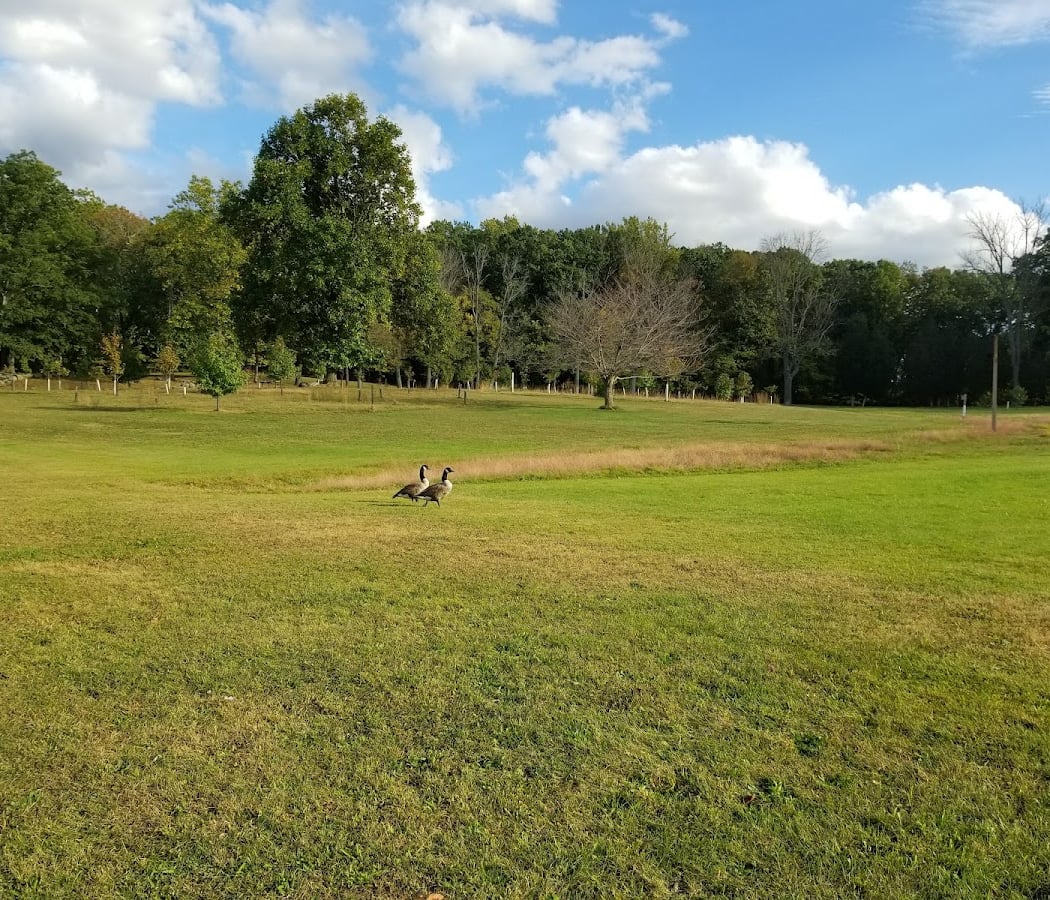 Green Lane Park 4