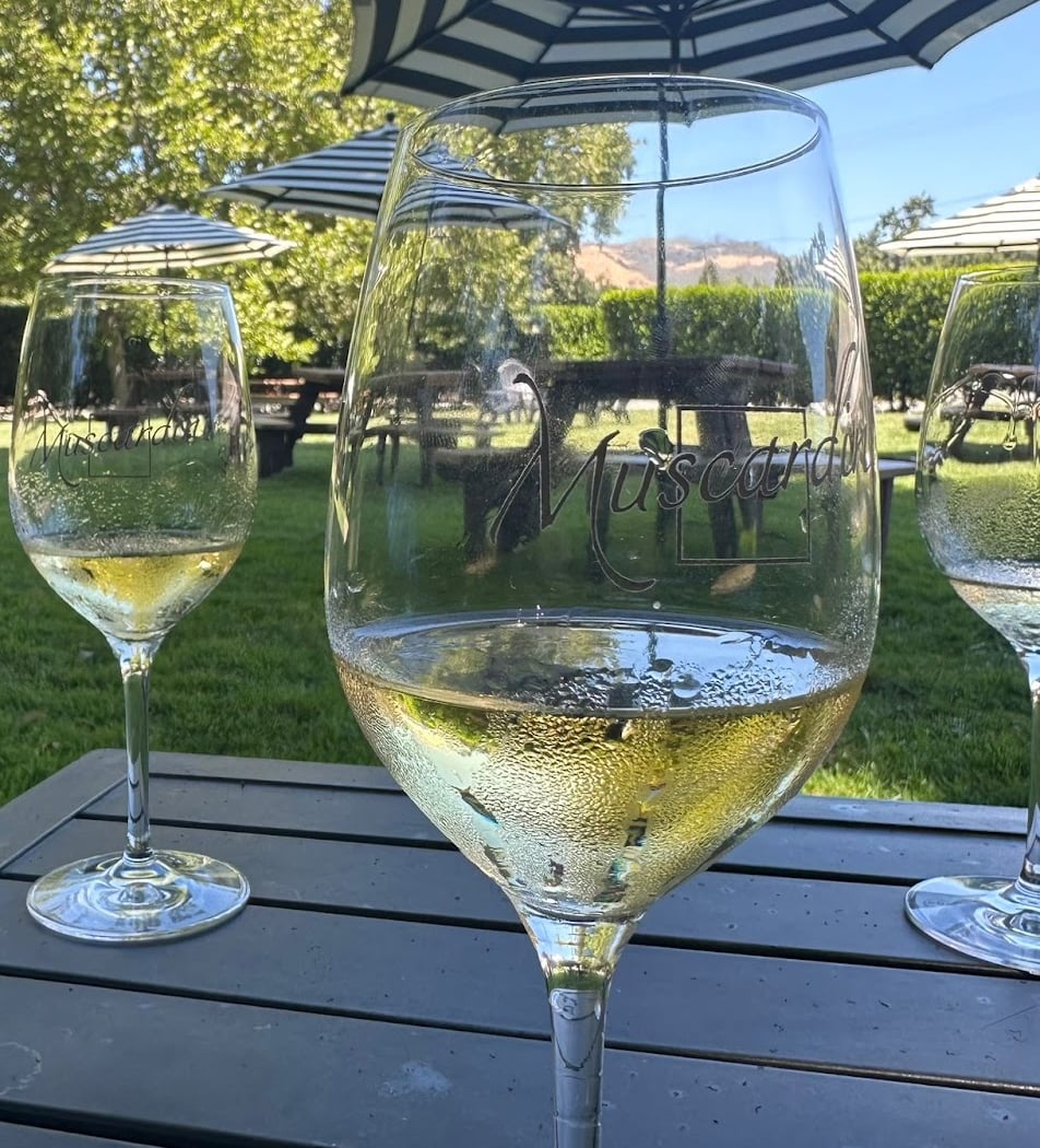 Vault Opening: Library Flight Paired with Seasonal Bites 3