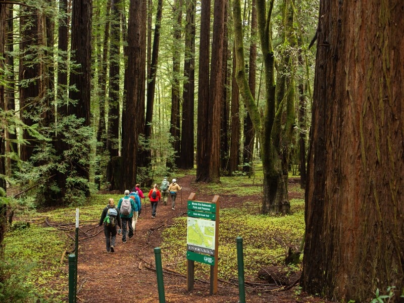Monte Rio Redwoods Trailhead 1