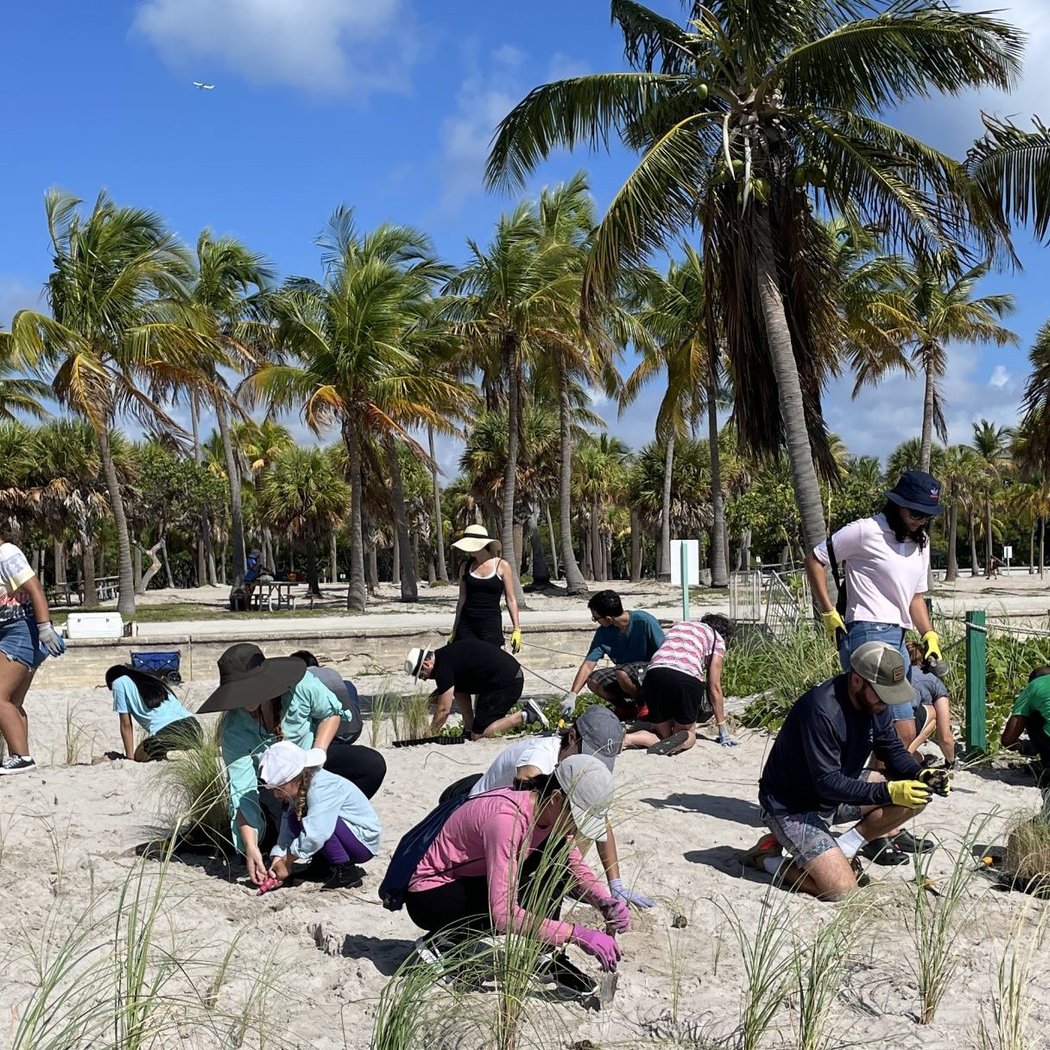 Community Planting Day at Haulover Park 1