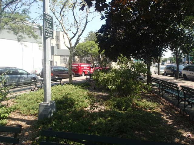Steadman Square 2
