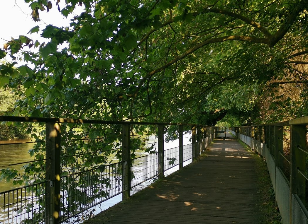 Promenade de la Sévre Nantaise 1