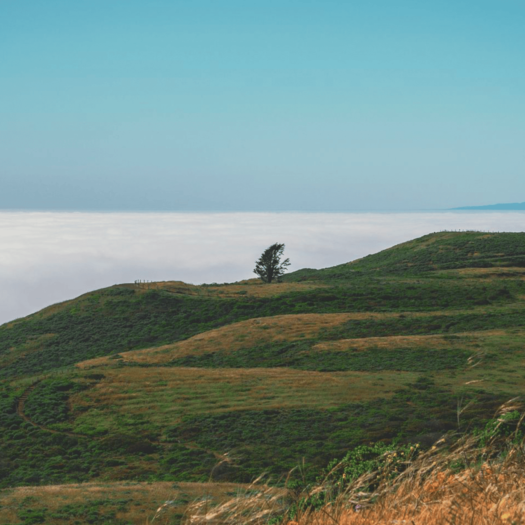 Milagra Ridge Trail 1