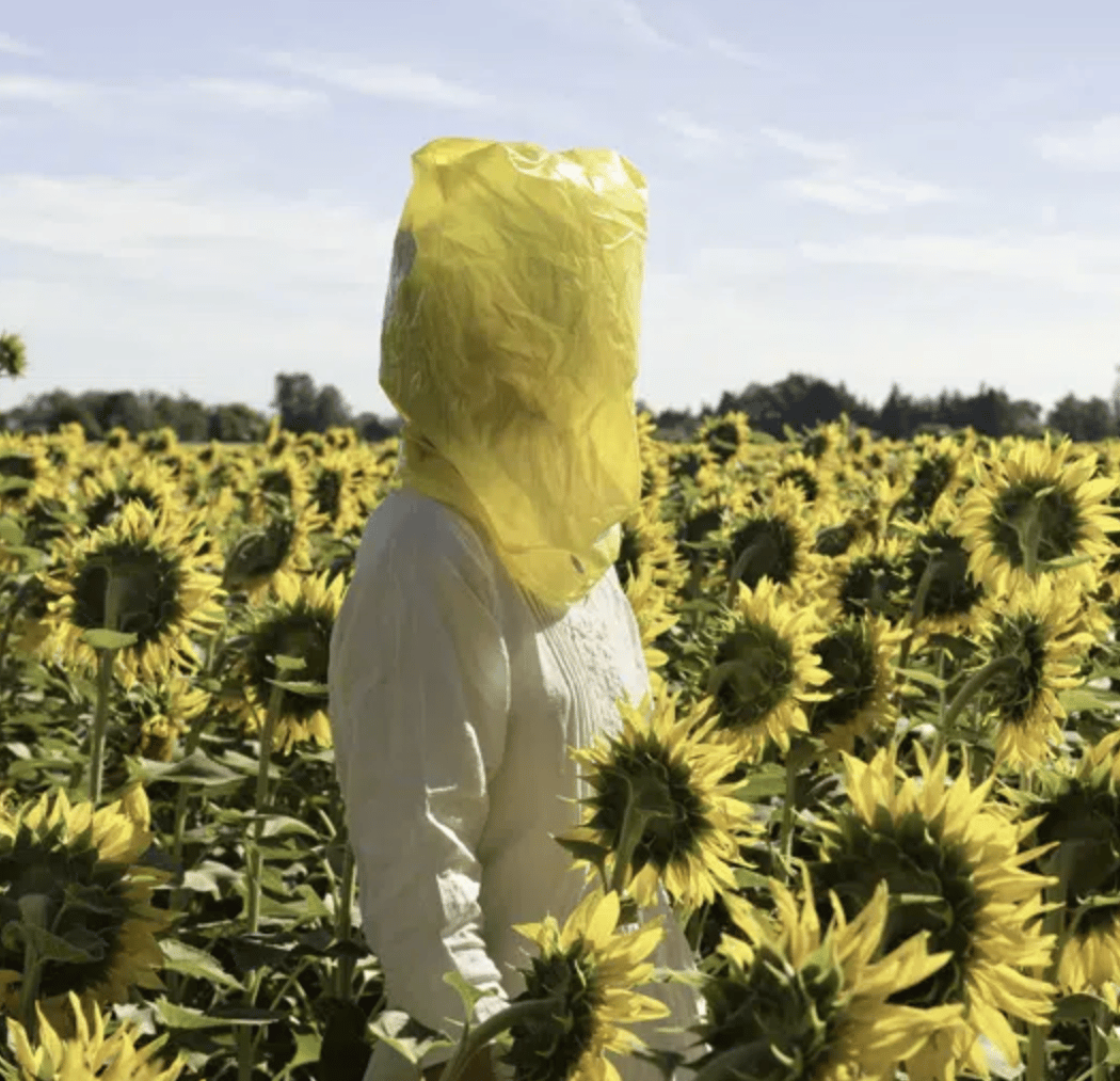 Plants and People 1